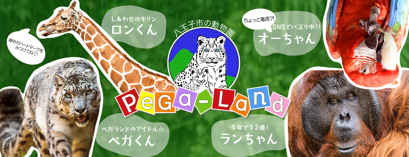 動物園